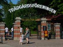 1_MI0_9059_4695-sRGB